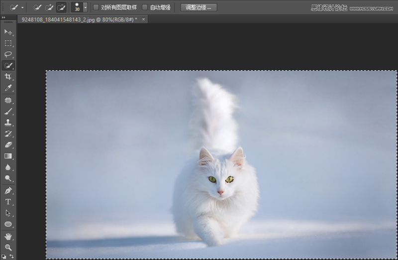 详细解析Photoshop调整边缘在抠图实例中应用