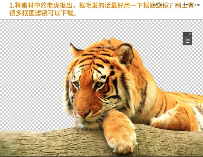 Photoshop合成森林中在老虎面前打灯女孩照片教程