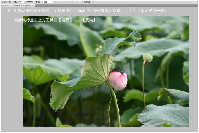 Photoshopٵ黯ɻͻ,PS̳,
