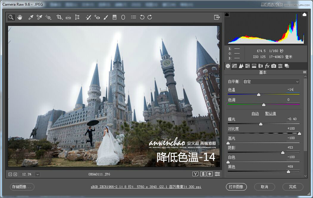 Photoshop给城堡婚纱照片添加梦幻夜景星空背景