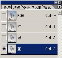 ѧϰPhotoshopȡή֦PSͼ̳