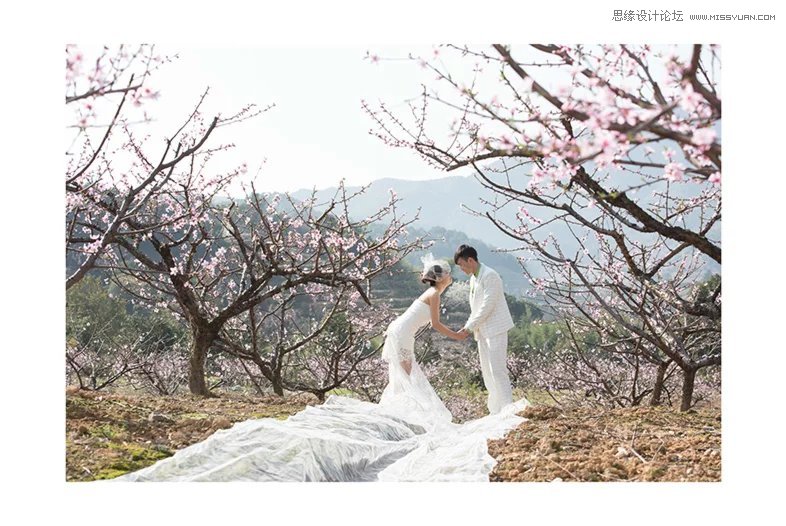 Photoshop制作唯美桃花仙境效果的外景婚纱照片