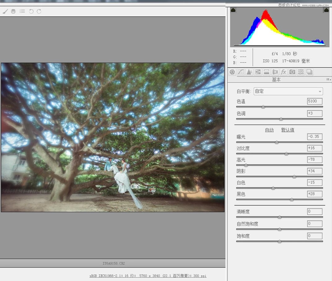 Photoshop制作唯美蓝色艺术效果的外景婚纱照片