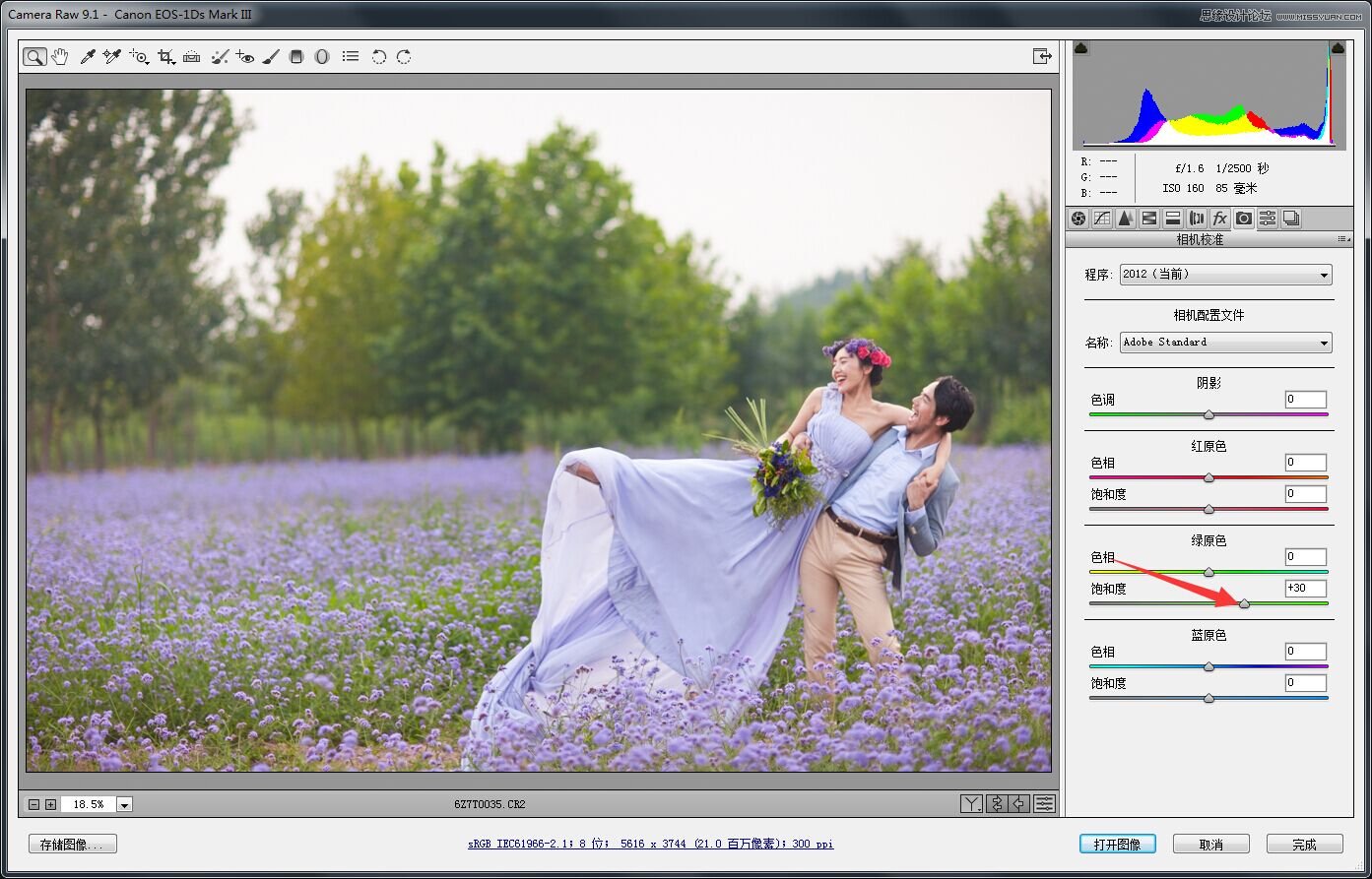 Photoshop调出唯美色彩的薰衣草外景婚纱照片